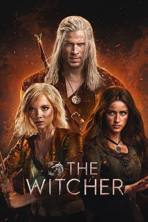 The Witcher (2019 )
