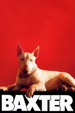 Baxter (1989)