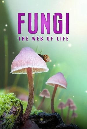 Fungi The Web of Life (2023)