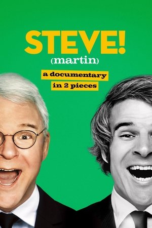 Steve Martin A Documentary in 2 Pieces (2024)