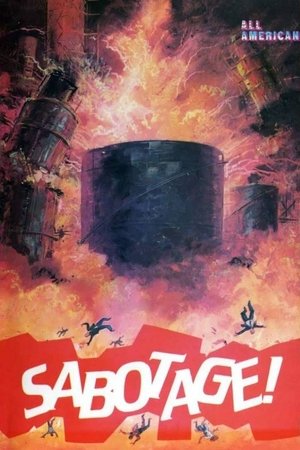 Strategia per una missione di morte (1979)