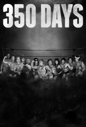 350 Days (2018)