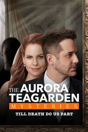 Aurora Teagarden Mysteries Cold Feet and A Cold Case (2021)
