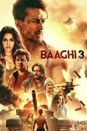 Baaghi 3 (2020)