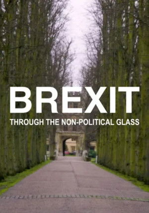 Brexit Through the Non Political Glass (2021)