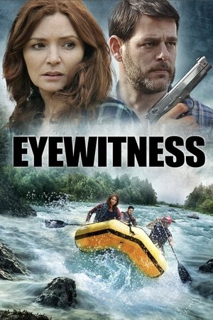 Eyewitness (2015)