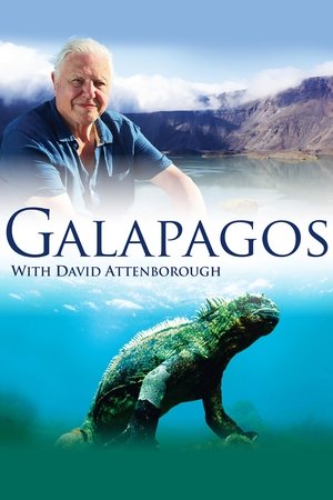 Galapagos 3D (2013)