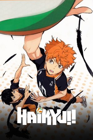 Haikyuu!! (2014 )