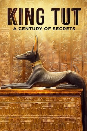 Tut A Century of Secrets (2022)