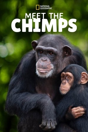 Meet the Chimps (2020 )