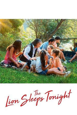 The Lion Sleeps Tonight (2017)