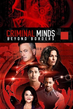 Criminal Minds Beyond Borders