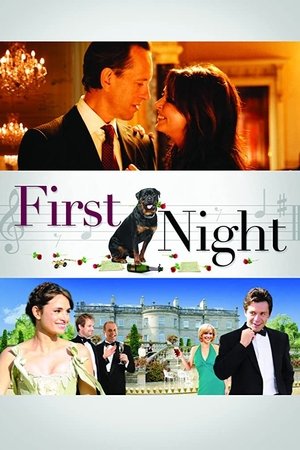 1st Night (2010)