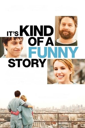 Its Kind of a Funny Story (2010)