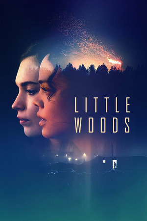 Little Woods (2018)