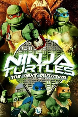Ninja Turtles: The Next Mutation (19971998)