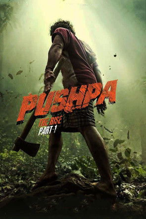 Pushpa The Rise Part 1 (2021)