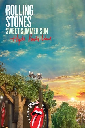 The Rolling Stones Sweet Summer Sun Hyde Park Live (2013)