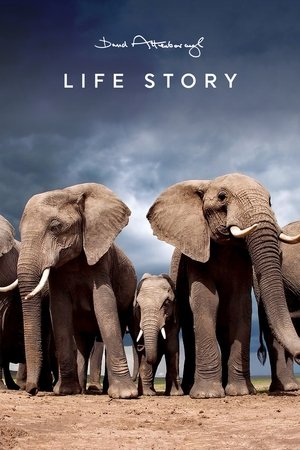 Life Story (2014 )
