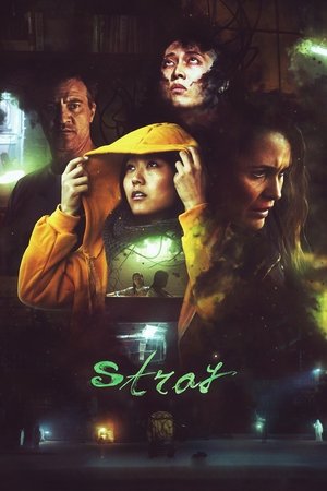 Stray (2017)