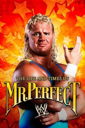 The Life and Times of Mr Perfect (2008)
