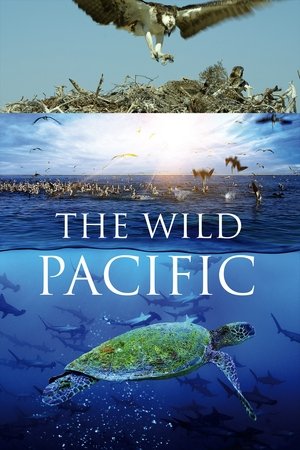 The Wild Pacific (2016)