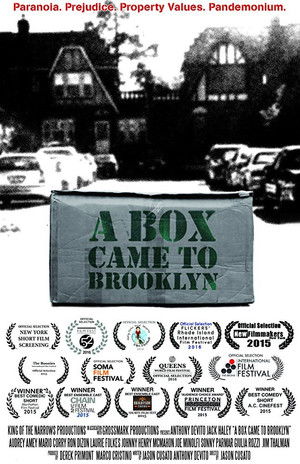 A Box Came to Brooklyn (2015)