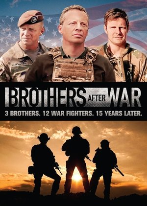 Brothers After War (2023)