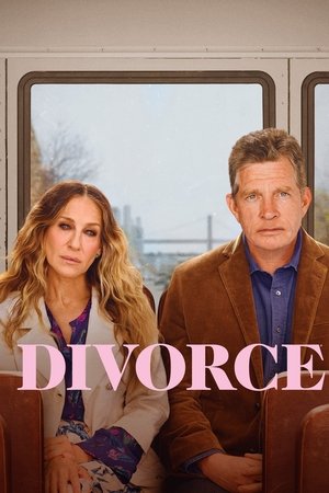 Divorce (2016-2019)