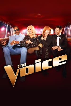 The Voice US Season 13