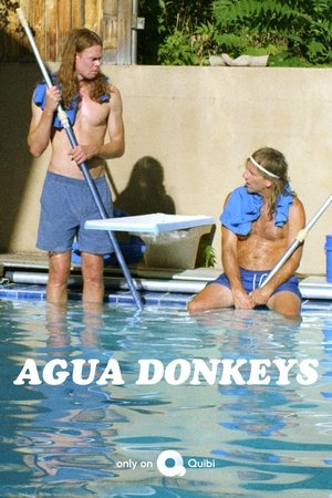 Agua Donkeys (2020 )