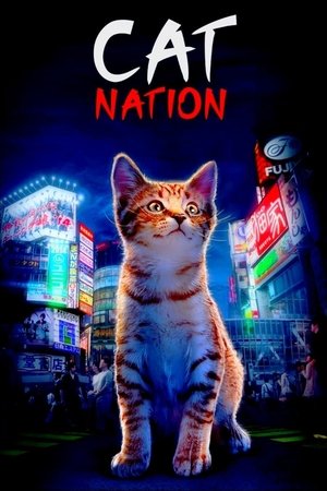 Cat Nation A Film About Japans Crazy Cat Culture (2017)