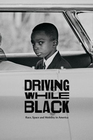Driving While Black Race, Space and Mobility in America (2020)