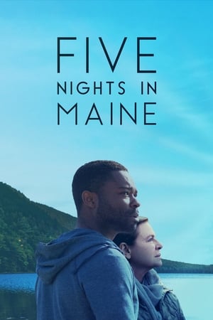 Five Nights in Maine (2015)