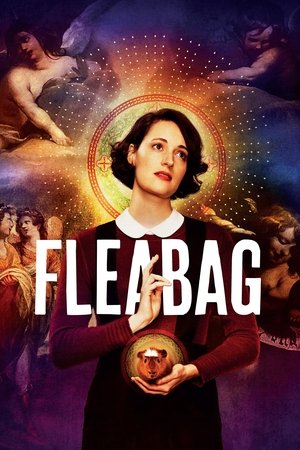 Fleabag (2016 )