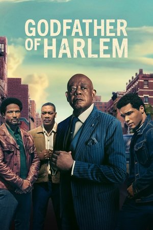 Godfather of Harlem (2019 )