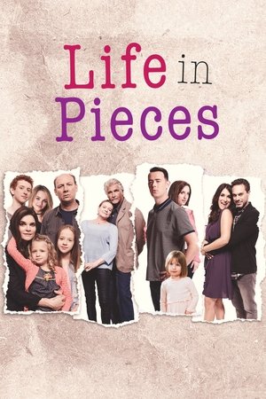 Life in Pieces (TV Series 2015 )