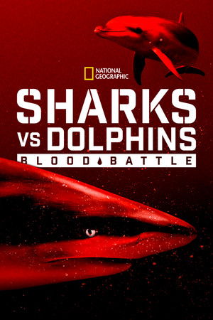 Sharks vs Dolphins Blood Battle (2020)