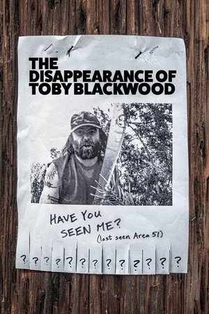 The Disappearance of Toby Blackwood (2022)