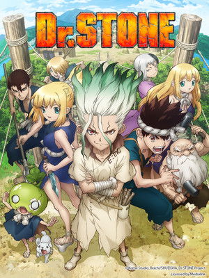 Dr. Stone (2019 )
