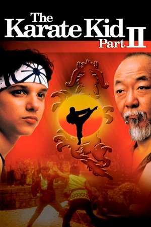 The Karate Kid II 1986