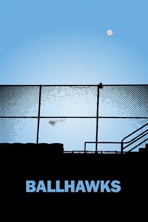 Ballhawks (2010)