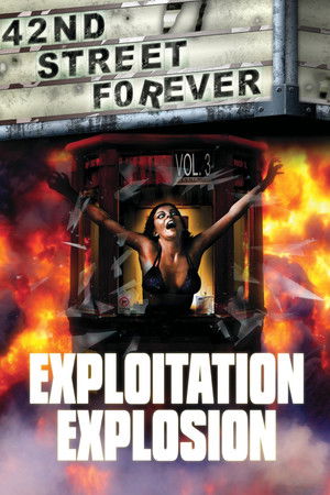 42nd Street Forever, Volume 3: Exploitation Explosion (2008)