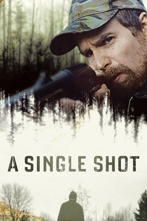 A Single Shot (2013