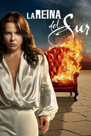 La Reina del Sur (2011-)