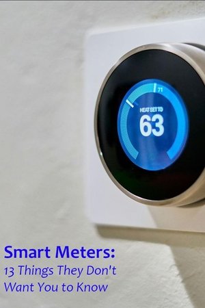 Smart Meters 13 Things They Dont Want You to Know (2024)