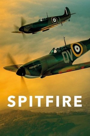 Spitfire (2017)