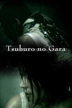 Tsuburo no gara (2004)
