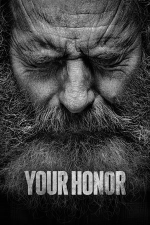 Your Honor (2019 )