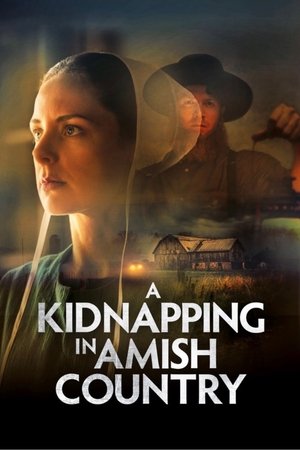 A Kidnapping in Amish Country (2024)